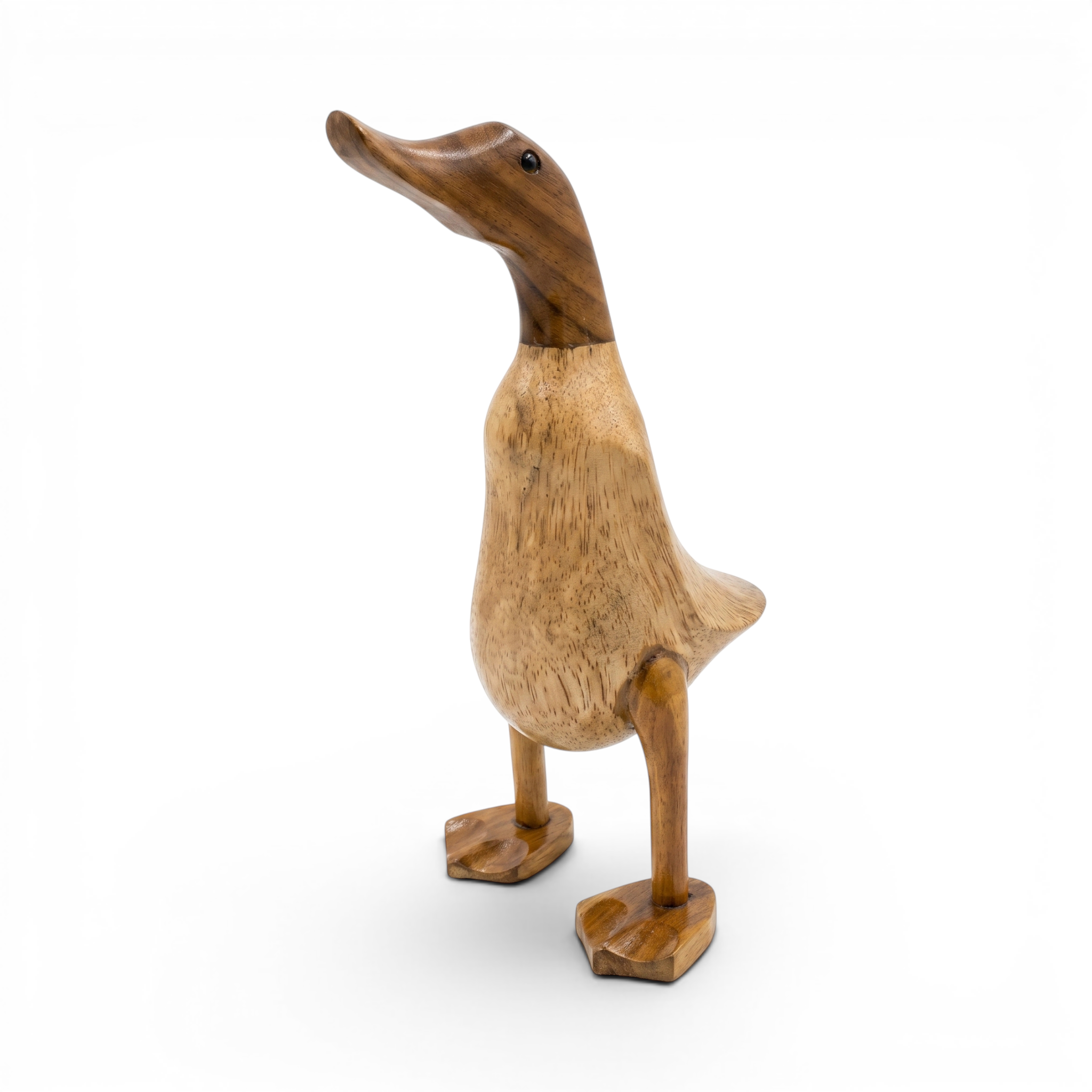 Miniature Duck Basic
