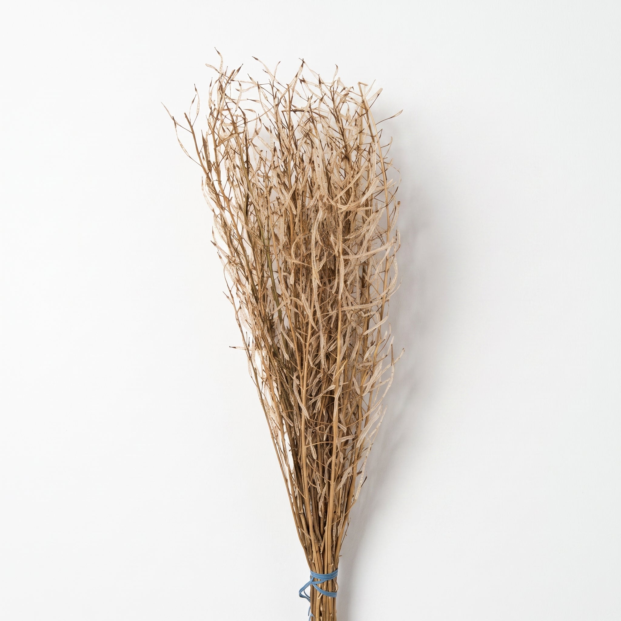 Dry Flower Peje