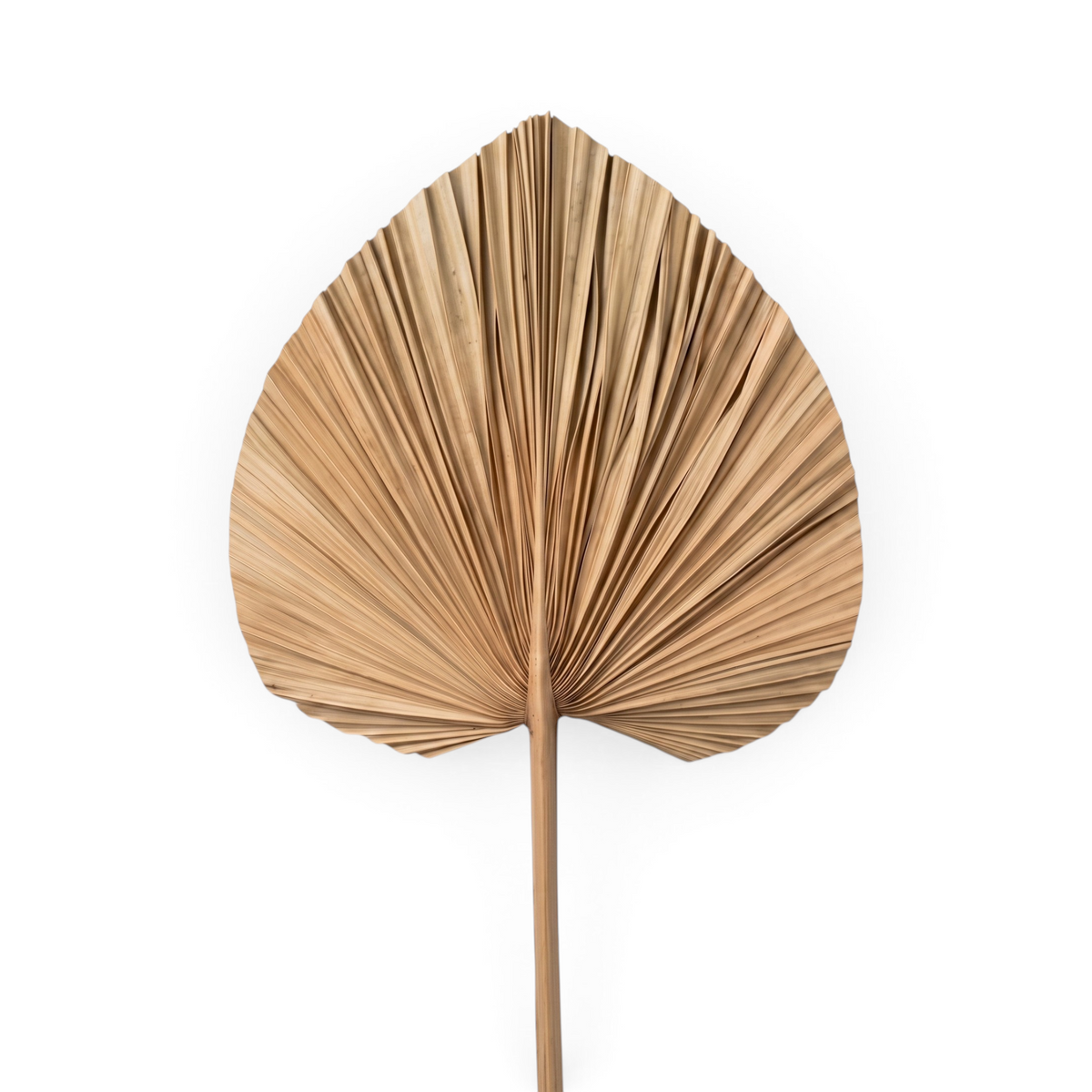 Deco Stick Palm Potong