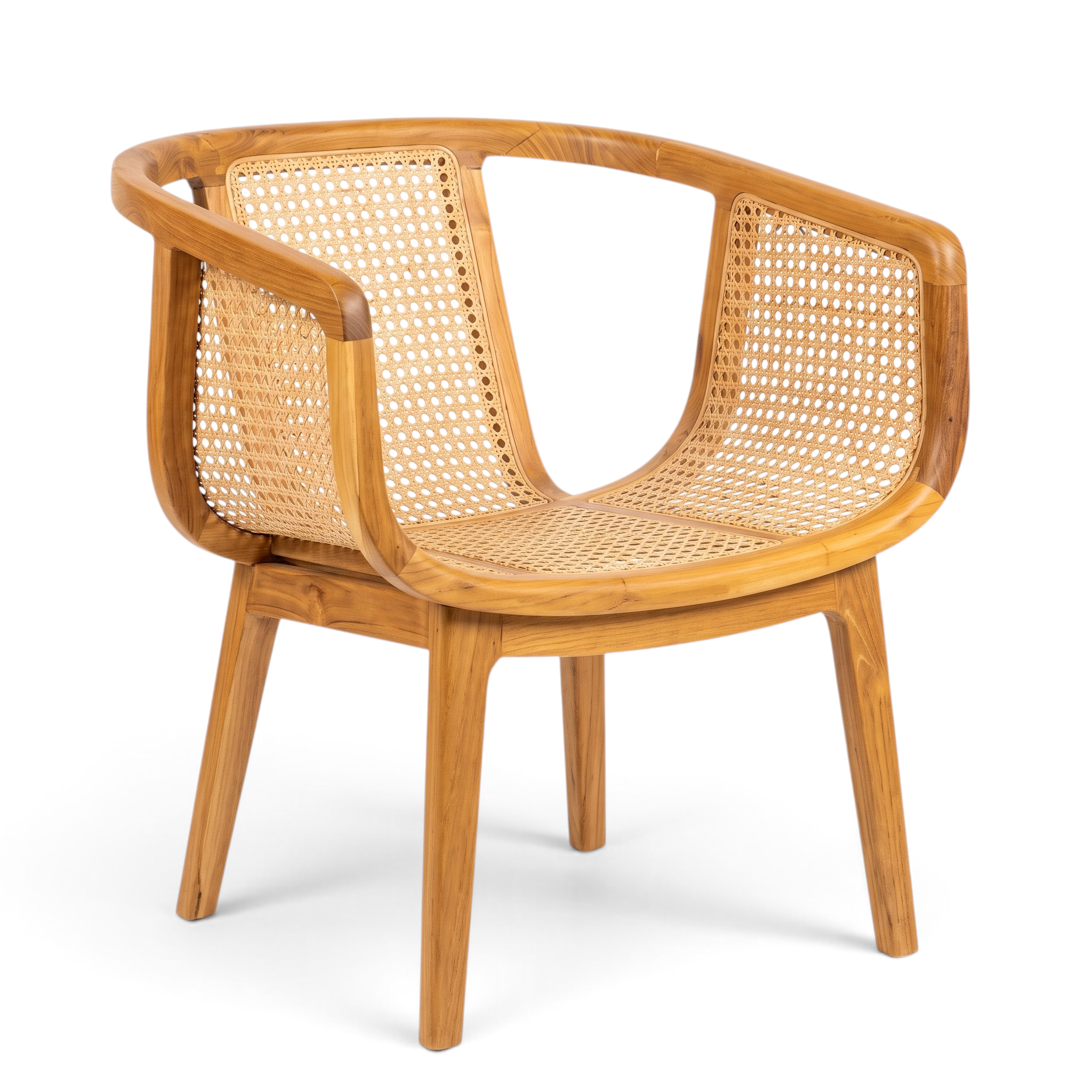 Dining Chair Maya Rara
