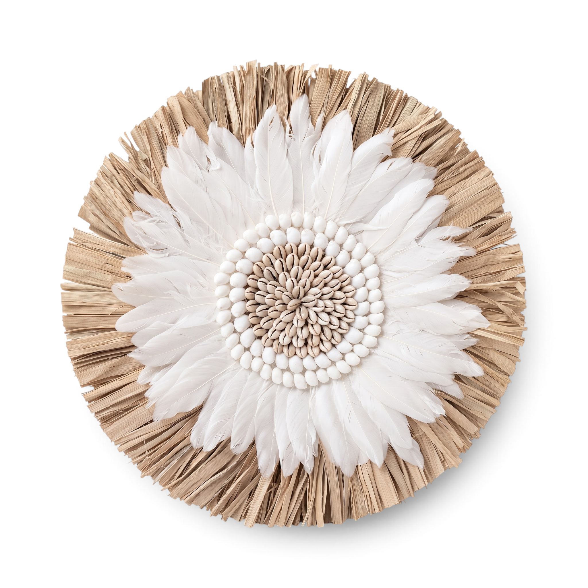 Wall Deco Kerang Bulu Angsa