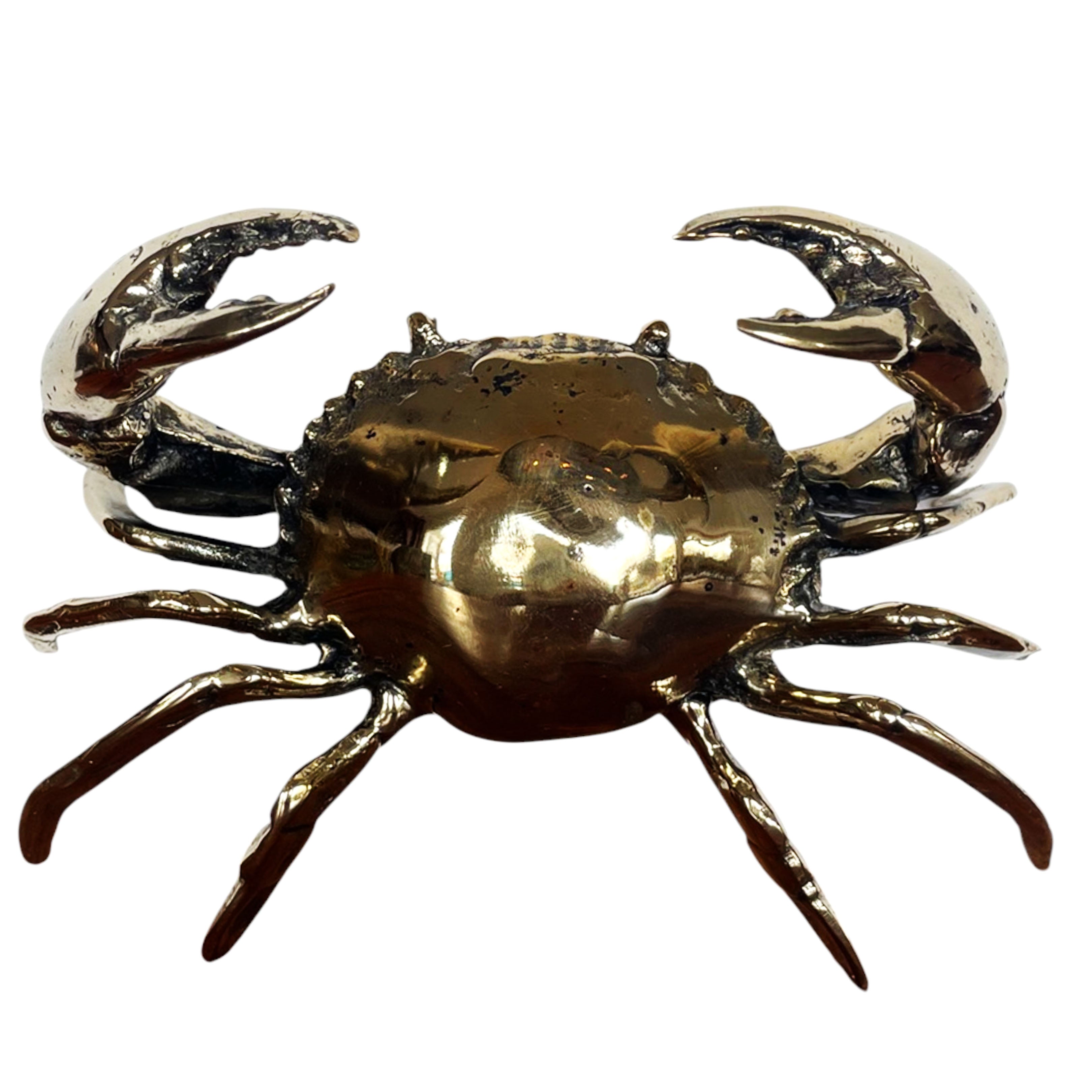 Miniature Crab
