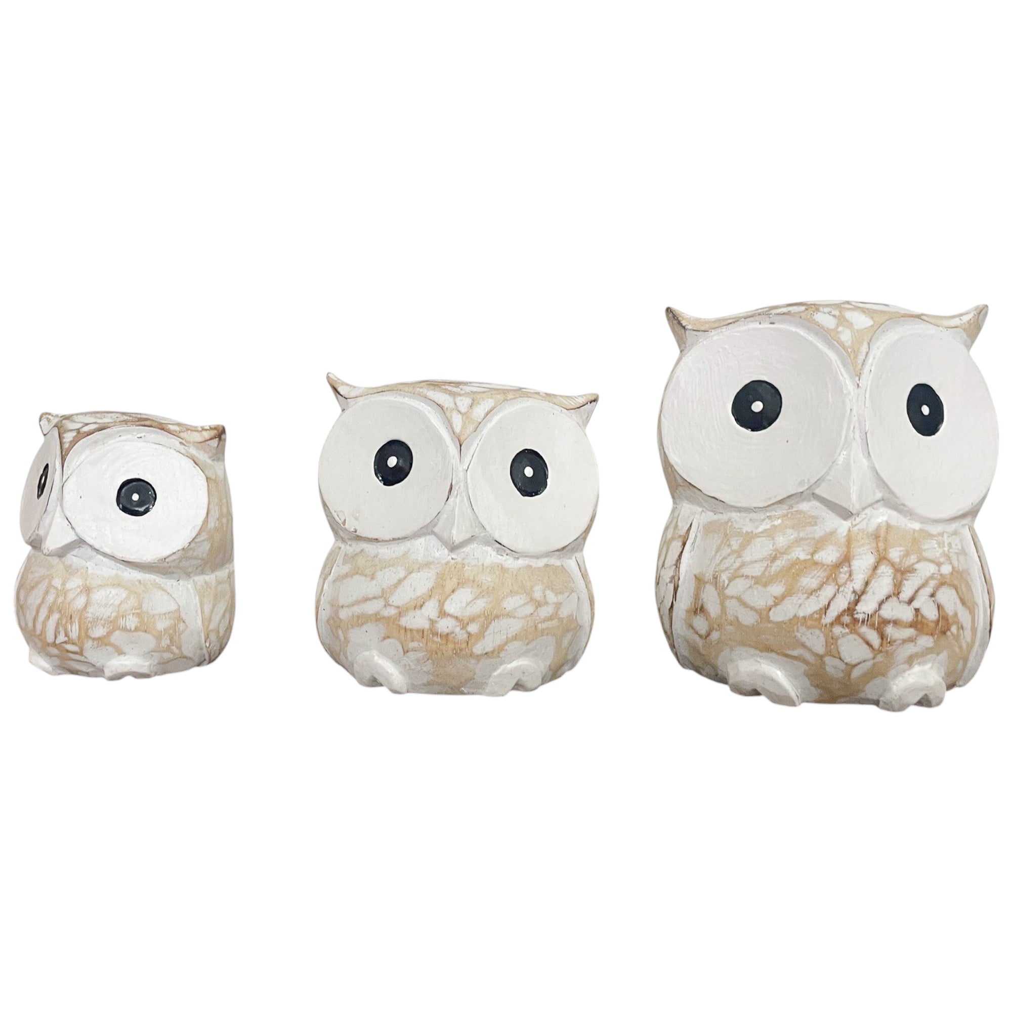 Miniature Owl Set Of 3