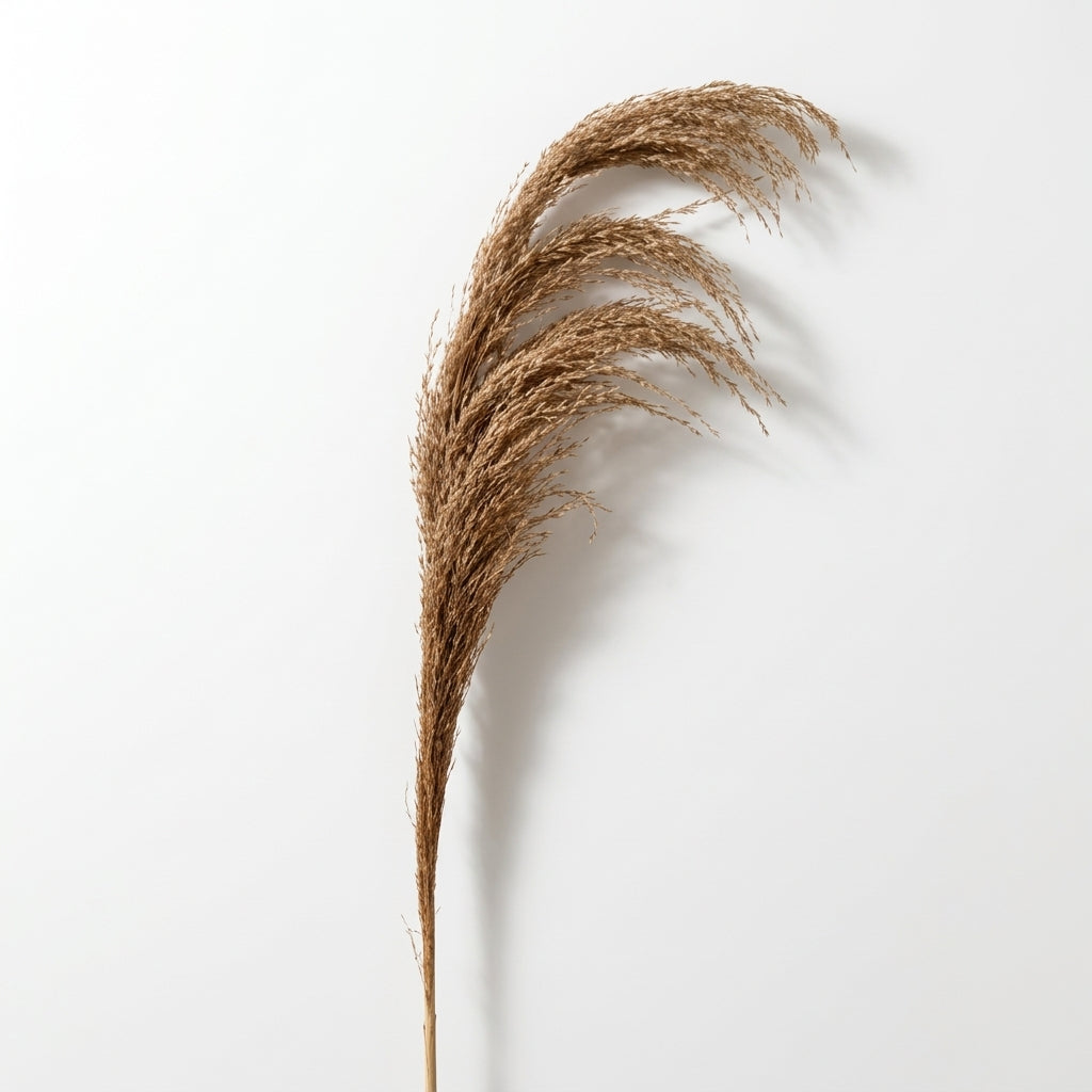 Deco Stick Pampas