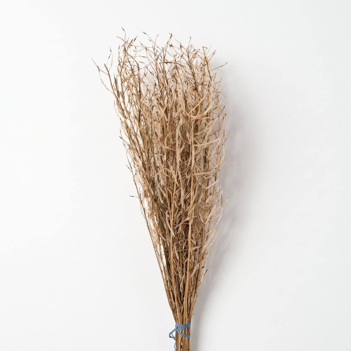 Dry Flower Peje