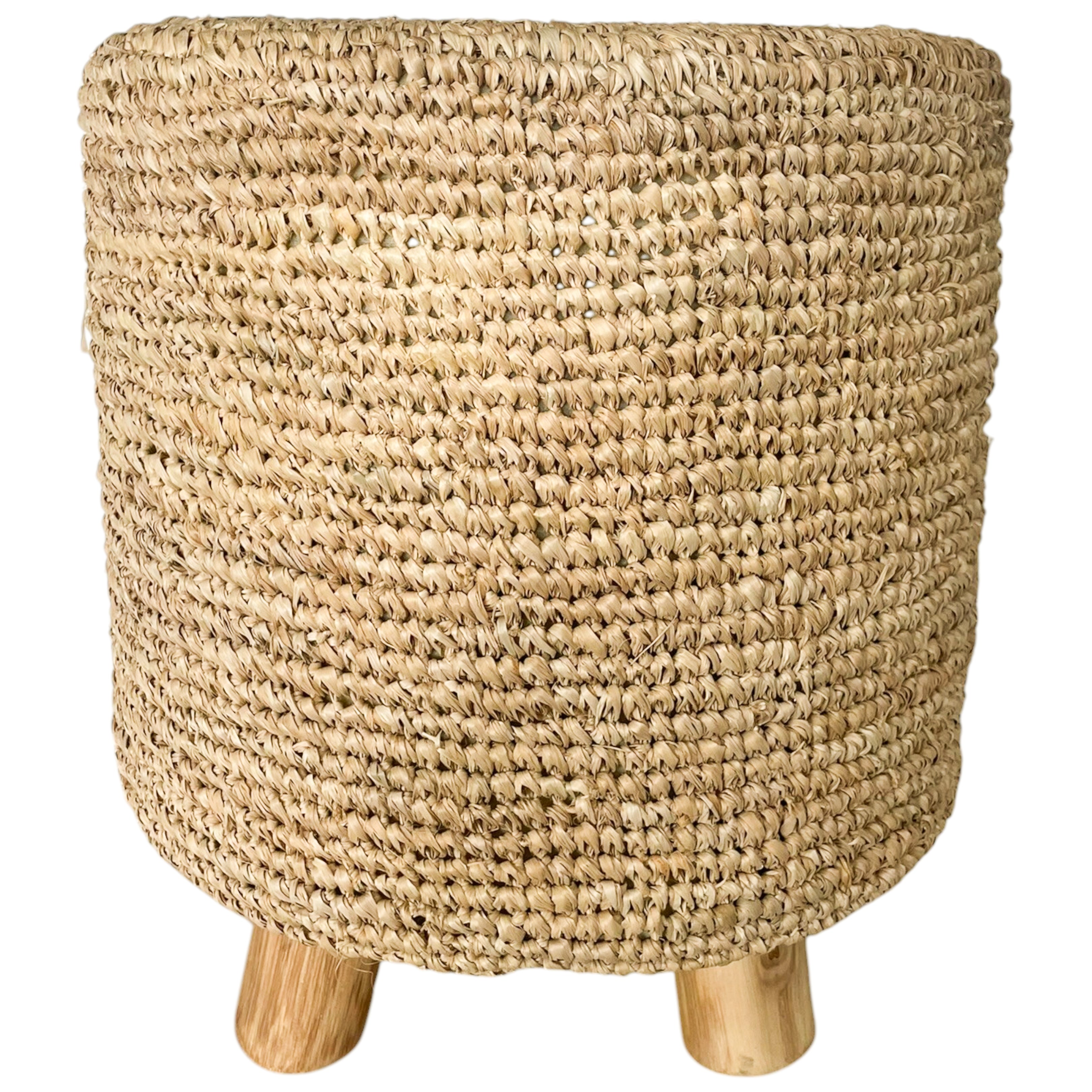 Stool Normal Gajih