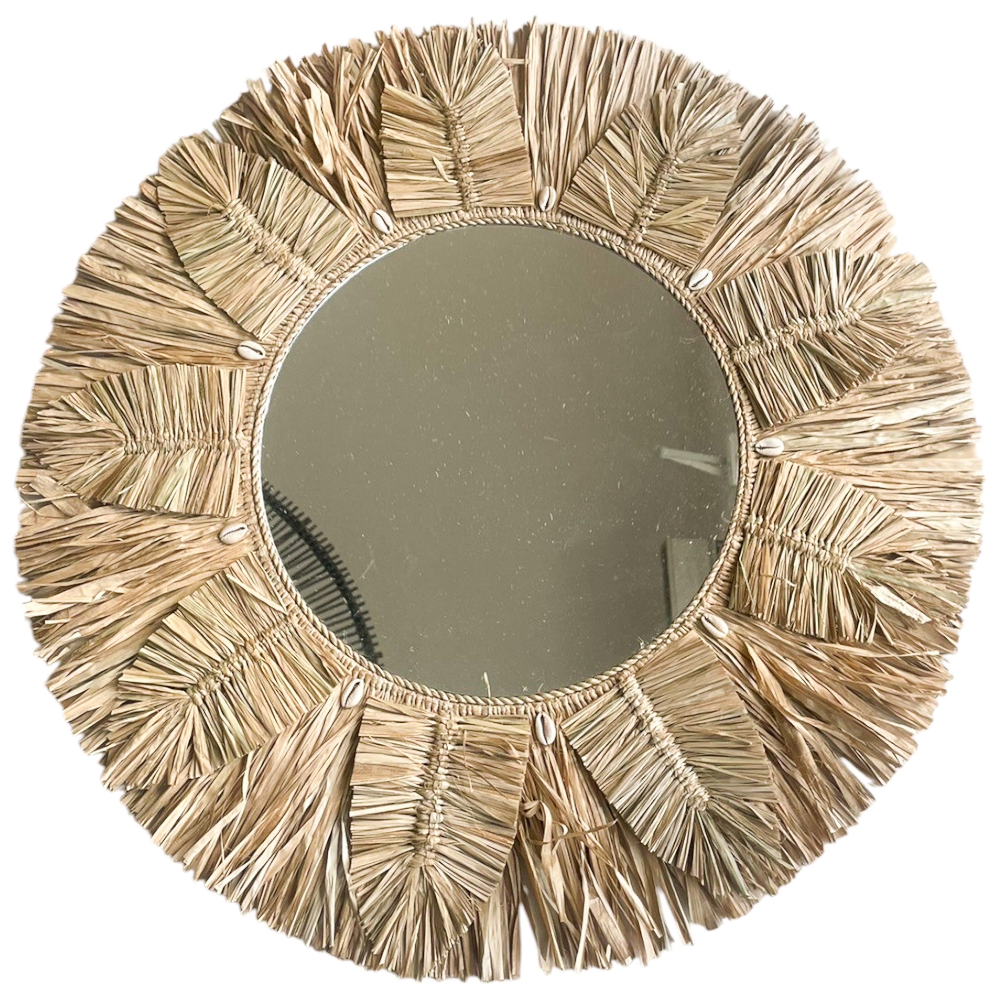 Mirror Daun Gajih Kaku