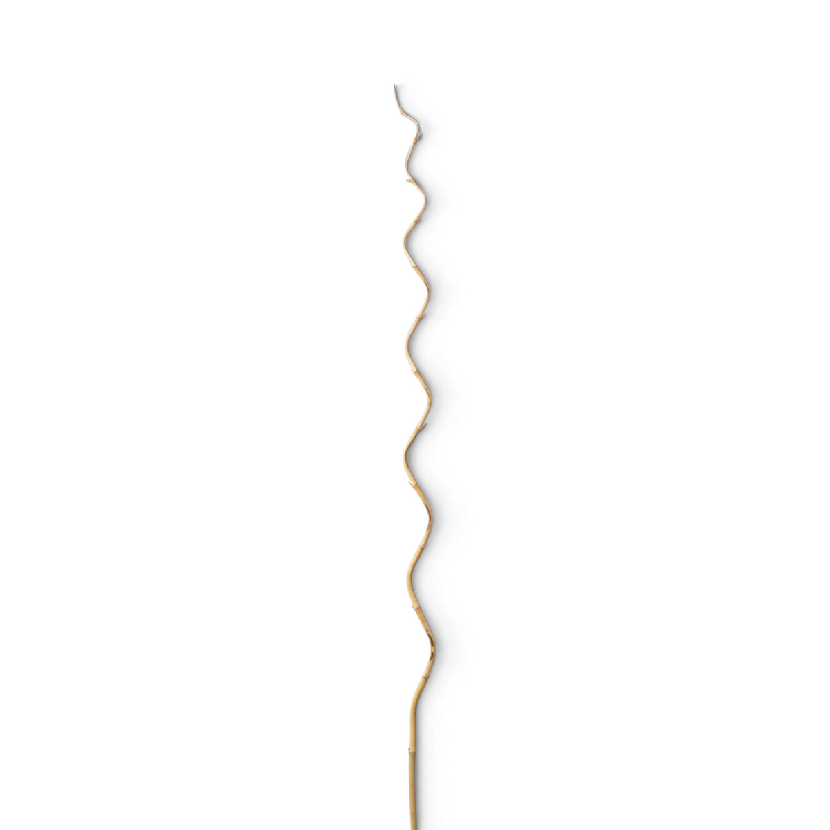 Deco Stick Bamboo