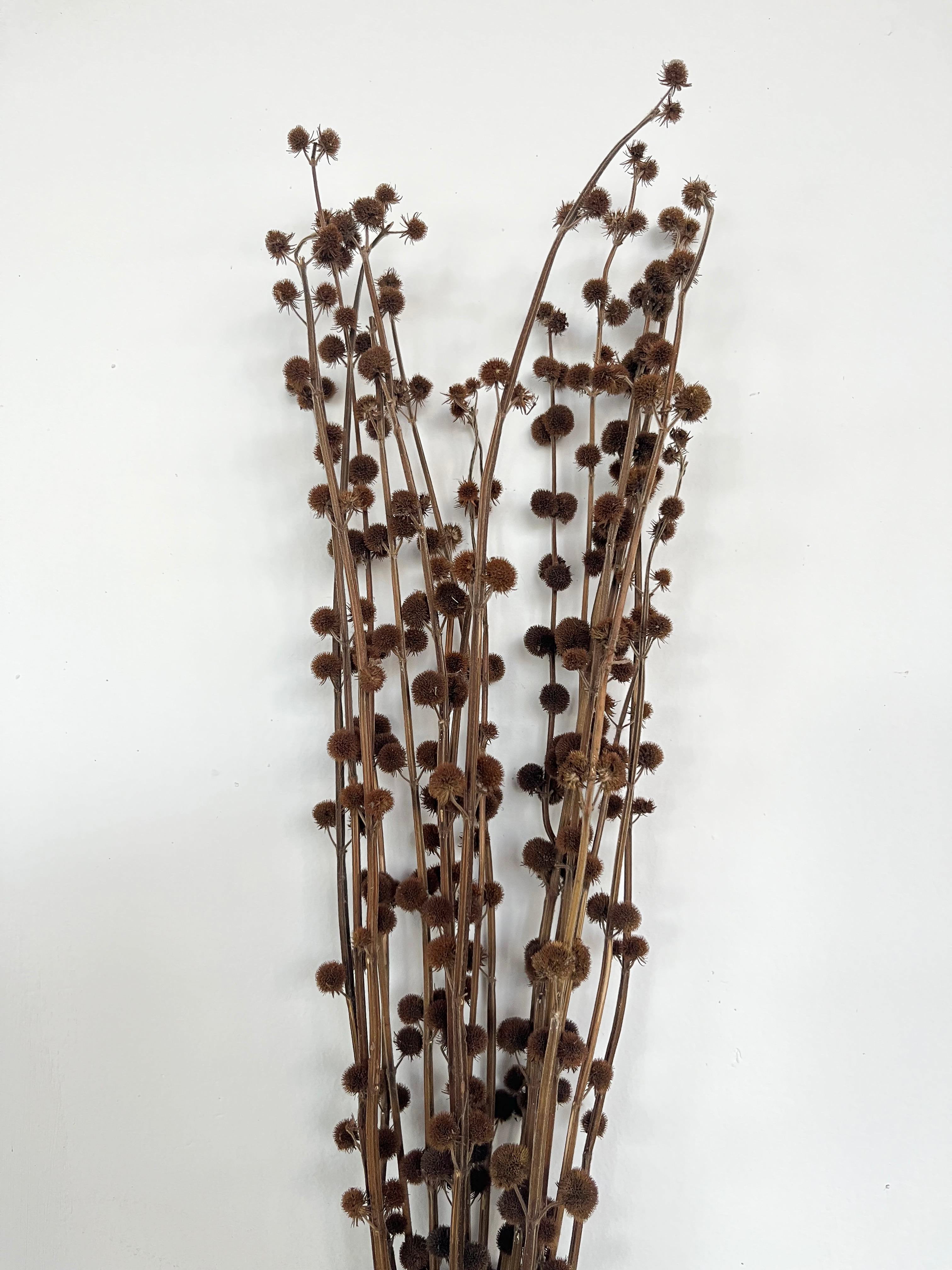 Dry Flower Pompom