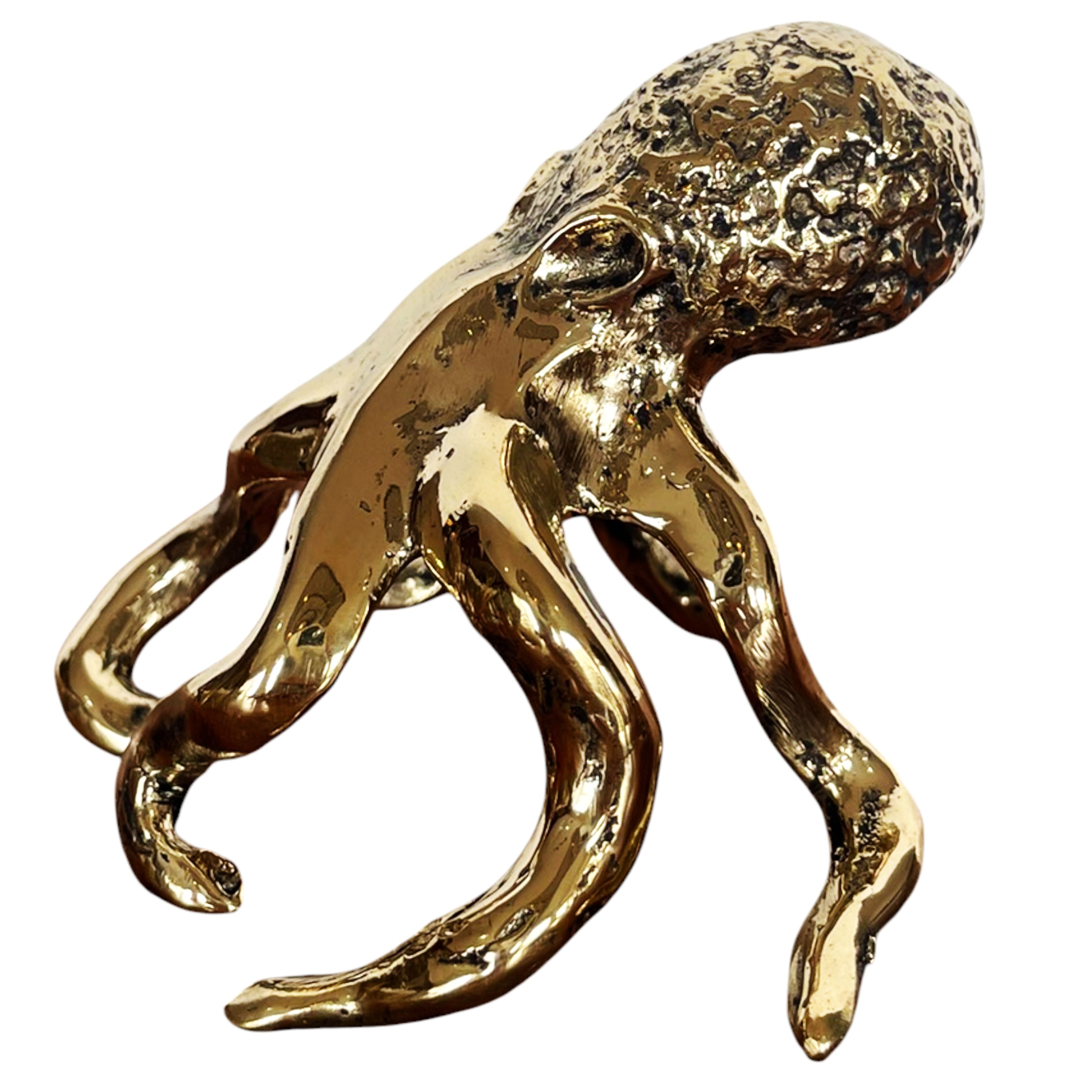 Miniature Octopus