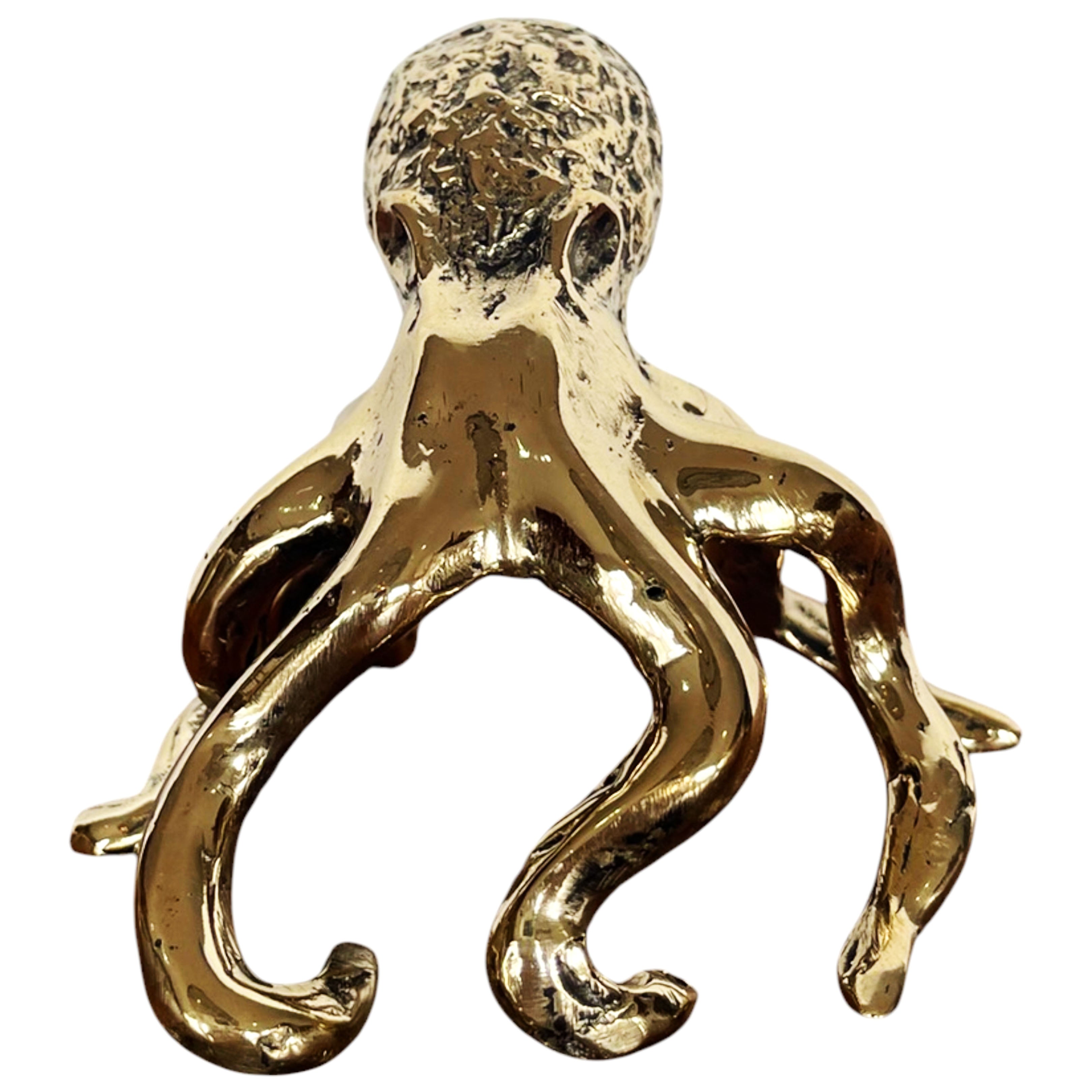 Miniature Octopus