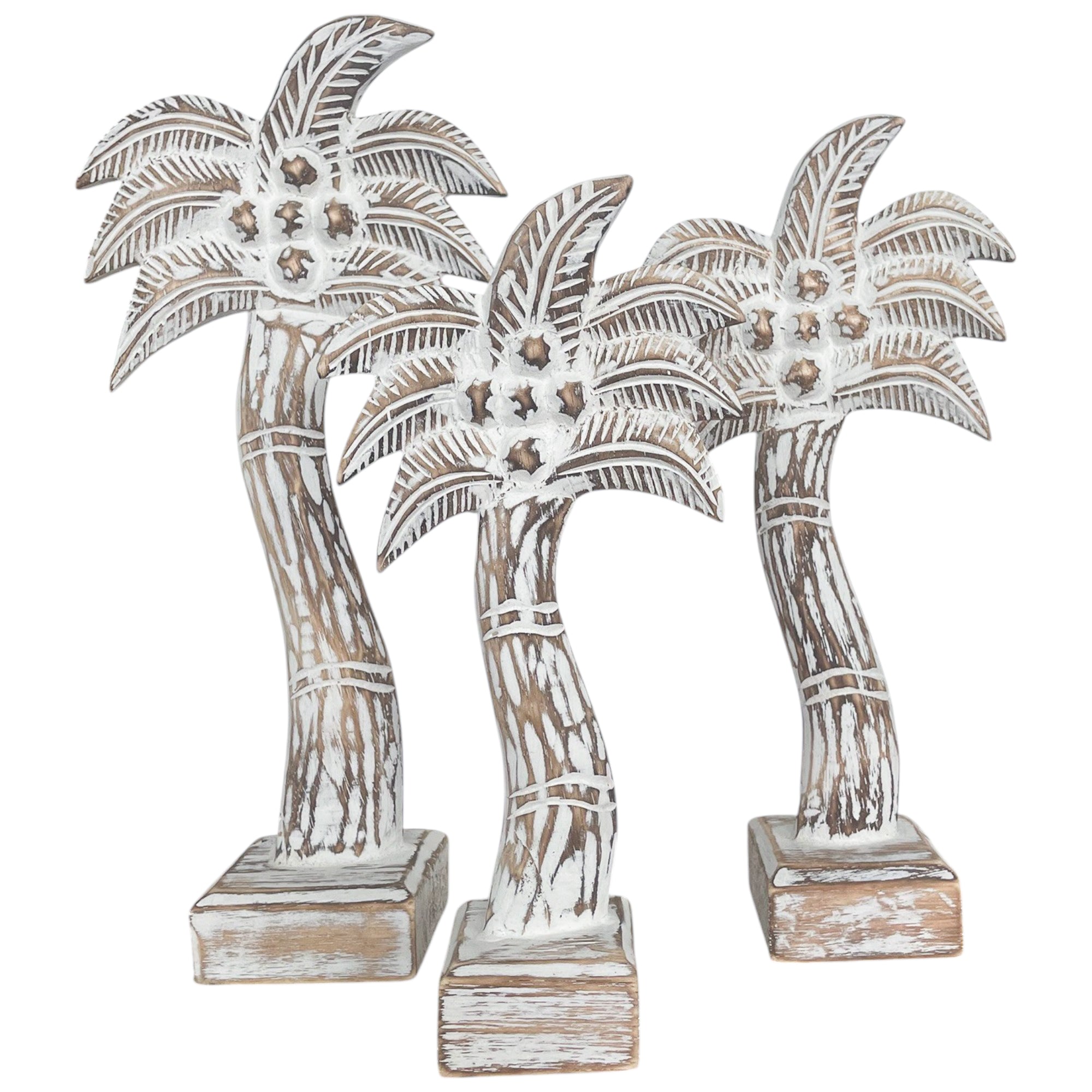 Miniature Palm Set Of 3