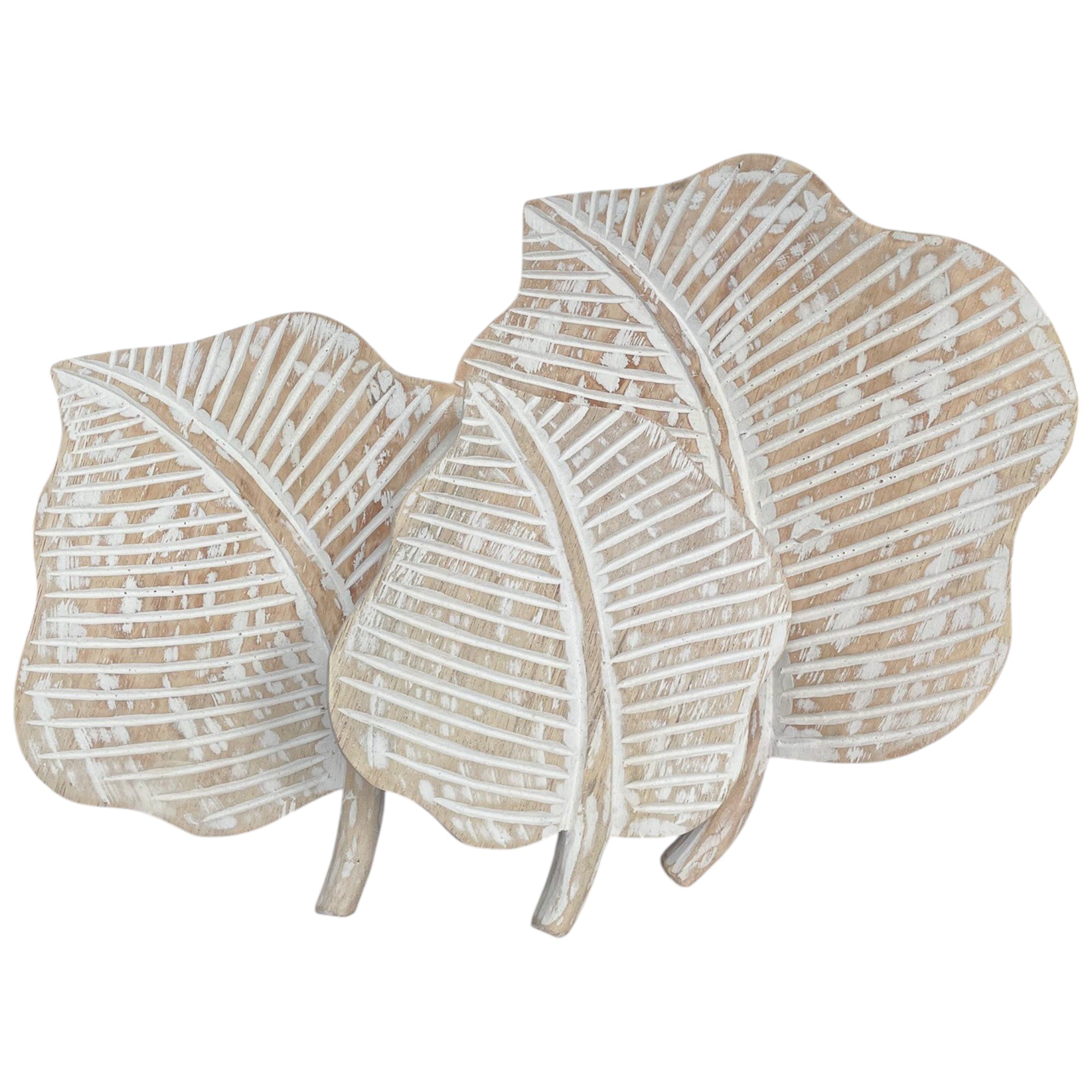 Miniature Daun Strawberry Set Of 3
