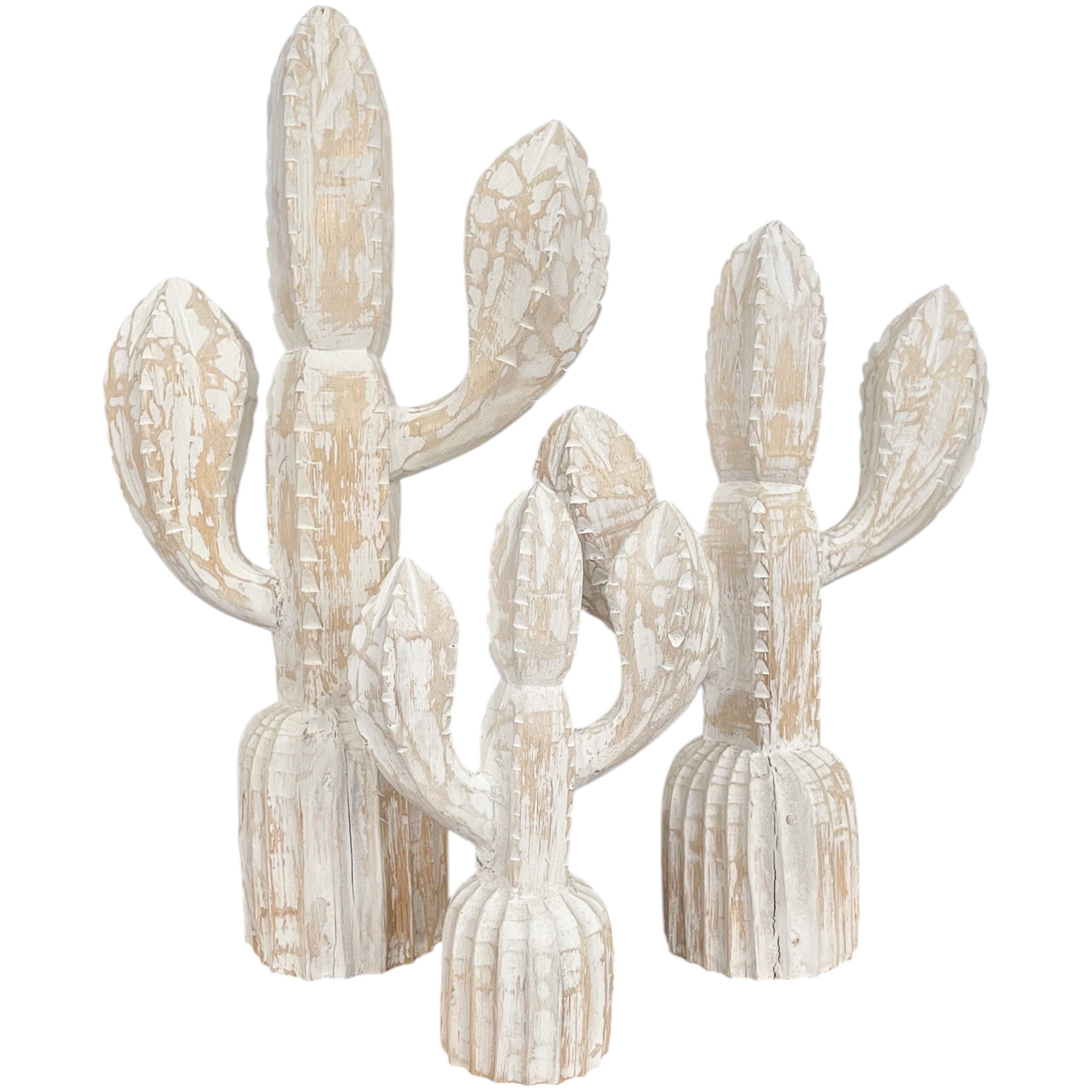 Miniature Cactus Meja Set Of 3