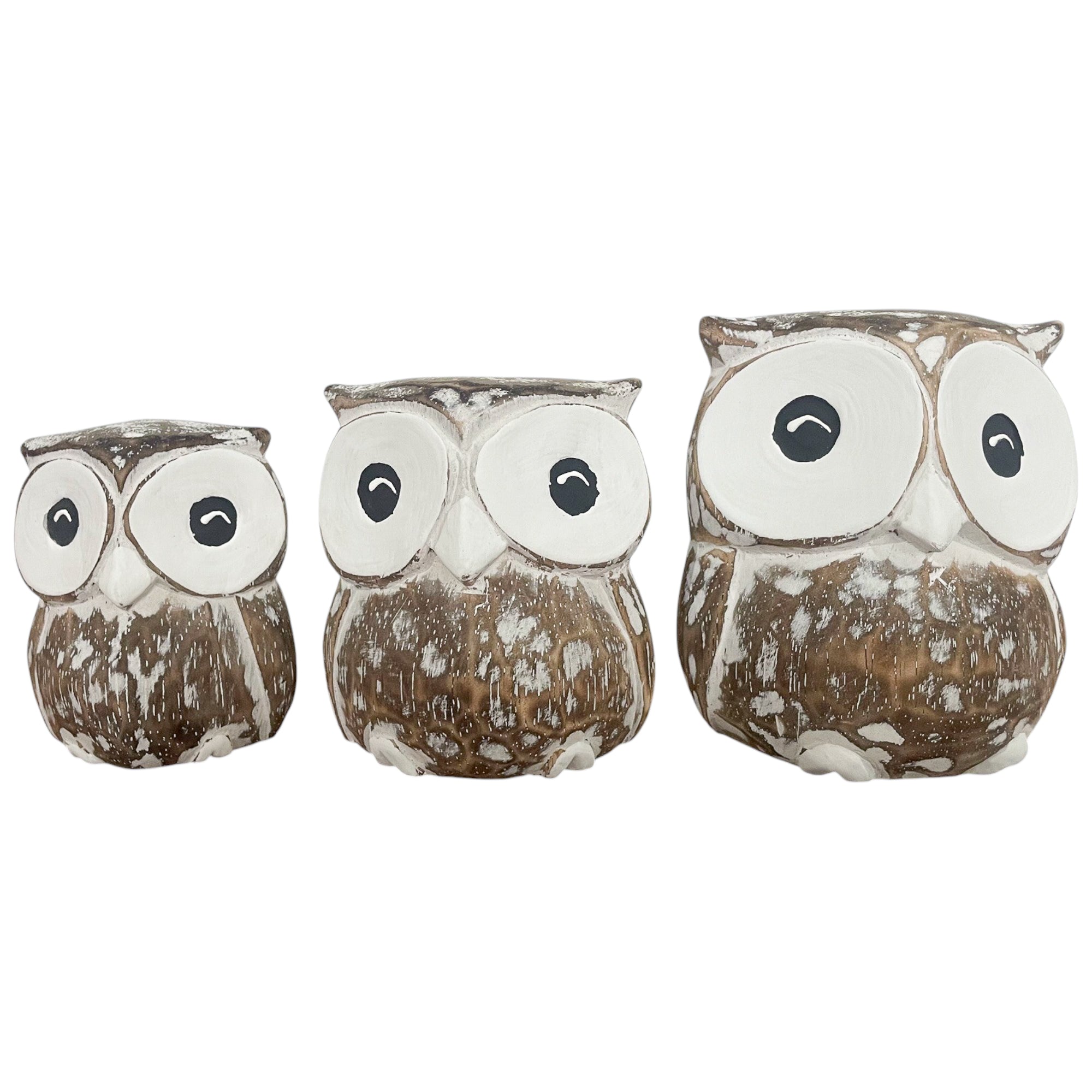 Miniature Owl Set Of 3